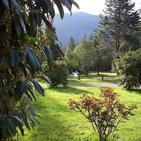 Cabanas Auquin Lemu Lago Puelo Ngoại thất bức ảnh
